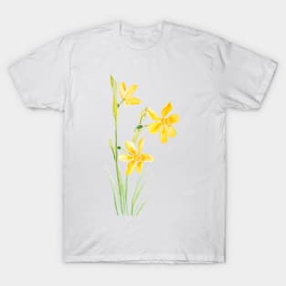 yellow narcissus  watercolor painting T-Shirt